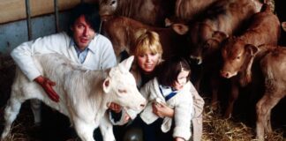 Luvi De André – Lettera aperta sul Decreto Legge Lorenzin