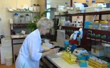 TV Svizzera – Inchiesta sul vaccino HPV Papillomavirus e Gardasil