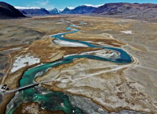 Morbillo: immunità di gregge in Mongolia non funziona