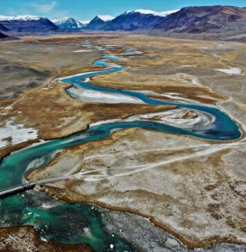 Morbillo: immunità di gregge in Mongolia non funziona