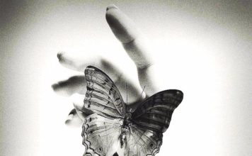 Comilva: “Giù le mani dalla Libertà”