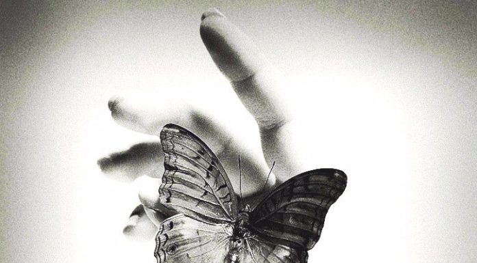 Comilva: “Giù le mani dalla Libertà”