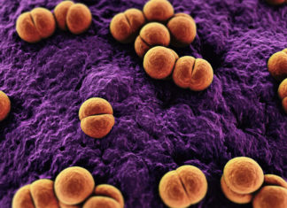 Vaccino meningite: ritirato lotto Menveo Glaxo prodotto a Siena