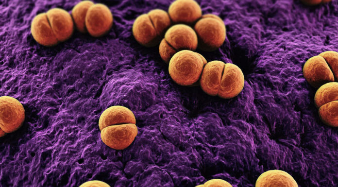 Vaccino meningite: ritirato lotto Menveo Glaxo prodotto a Siena