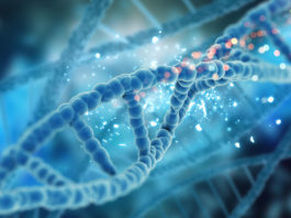 Esami prevaccinali: mutazione MTHFR, tipizzazione HLA e dosaggi anticorpali