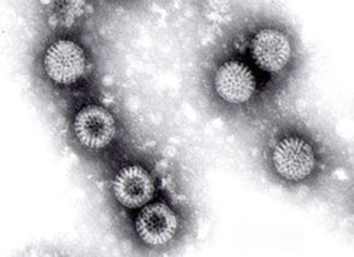 Vaccini: contagio e trasmissione di virus da vaccinati a non vaccinati