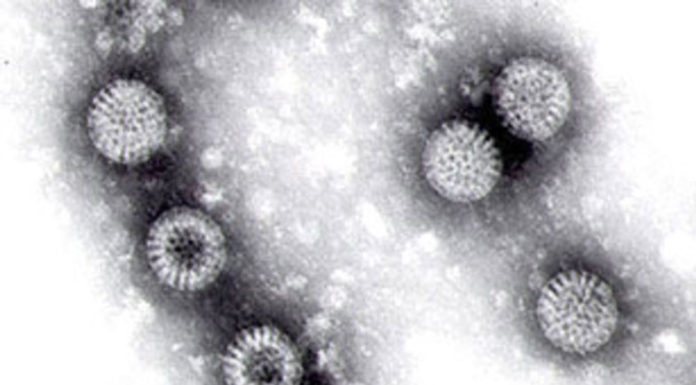 Vaccini: contagio e trasmissione di virus da vaccinati a non vaccinati