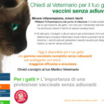 vaccini-veterinari-senza-adiuvanti-vaccini-pediatrici-nocivi-2