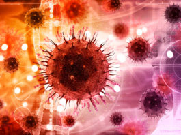 Stati Uniti, FDA: indagini sui virus cancerogeni nella produzione di vaccini