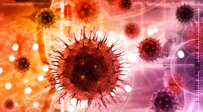 Stati Uniti, FDA: indagini sui virus cancerogeni nella produzione di vaccini