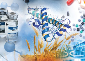 Analisi vaccini: risposta ONB svela incompetenze del chimico Bella