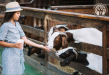 ONU, Gilmore: “Nessun diritto di rifiutare le vaccinazioni”