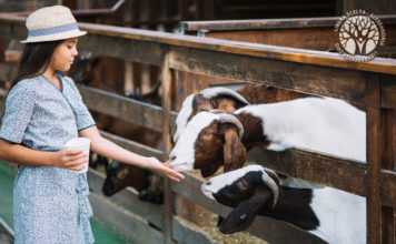 ONU, Gilmore: “Nessun diritto di rifiutare le vaccinazioni”