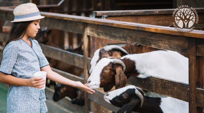 ONU, Gilmore: “Nessun diritto di rifiutare le vaccinazioni”