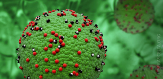 VACCINO MORBILLO INEFFICACE – Plotkin chiede nuovi studi